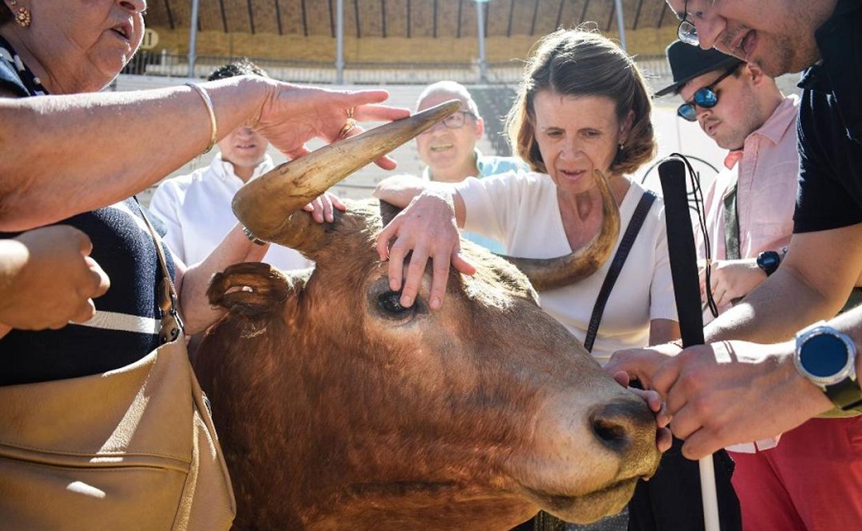 El grupo acaricia en la plaza de toros la testuz y cuernos de un toro disecado