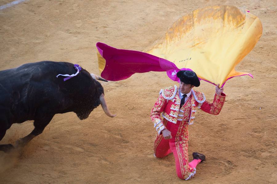 El Fandi fue arrollado de mala manera junto a las tablas porque el toro no obedeció cuando ejecutó al quiebro el tercer par de banderillas, iniciado de rodillas.. Se vivieron momentos de angustia en la Monumental de Frascuelo, pero cuando el granadino logró recomponerse volvió a la cara del astado para muletearlo de rodillas y sacar aún más toda su raza. La que le faltó al de Hermanos García Jiménez. Una vez más El Fandi estuvo poderoso y paseó oreja tras estocada entera.