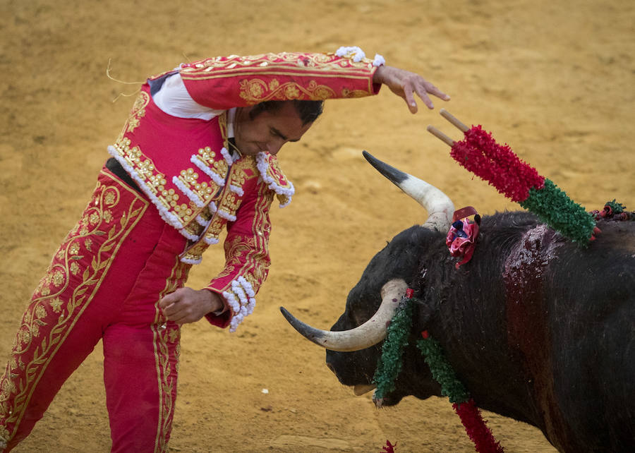 El Fandi fue arrollado de mala manera junto a las tablas porque el toro no obedeció cuando ejecuto al quiebro el tercer par de banderillas, iniciado de rodillas.. Se vivieron momentos de angustia en la Monumental de Frascuelo, pero cuando el granadino logro recomponerse volvió a la cara del astado para muletearlo de rodillas y sacar aún más toda su raza. La que le faltó al de Hermanos García Jiménez. Una vez más El Fandi estuvo poderoso y paseó oreja tras estocada entera.