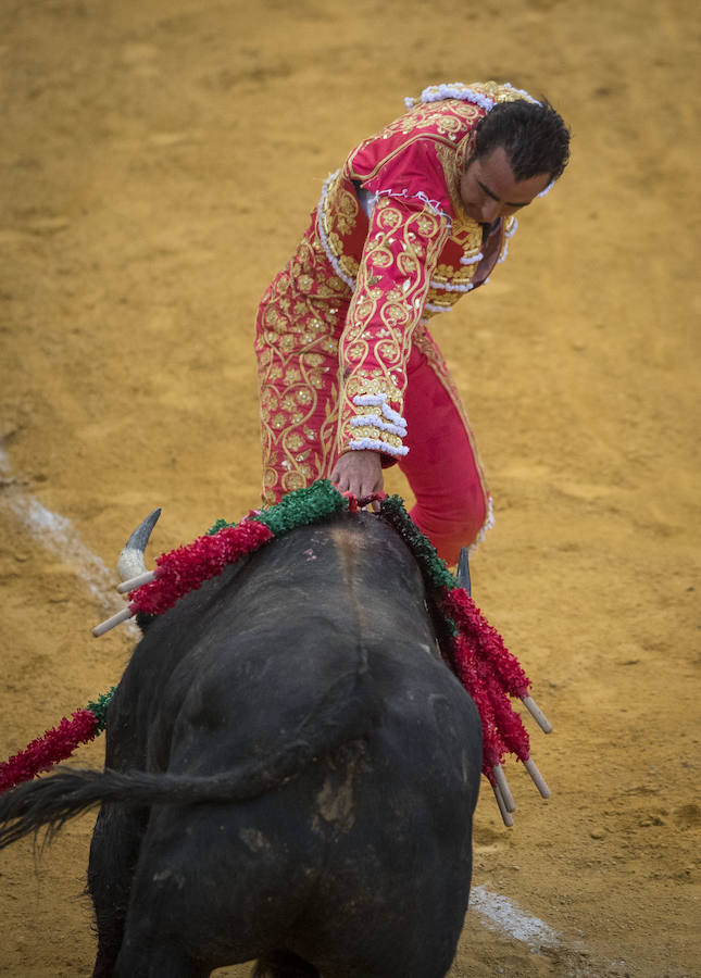 El Fandi fue arrollado de mala manera junto a las tablas porque el toro no obedeció cuando ejecuto al quiebro el tercer par de banderillas, iniciado de rodillas.. Se vivieron momentos de angustia en la Monumental de Frascuelo, pero cuando el granadino logro recomponerse volvió a la cara del astado para muletearlo de rodillas y sacar aún más toda su raza. La que le faltó al de Hermanos García Jiménez. Una vez más El Fandi estuvo poderoso y paseó oreja tras estocada entera.