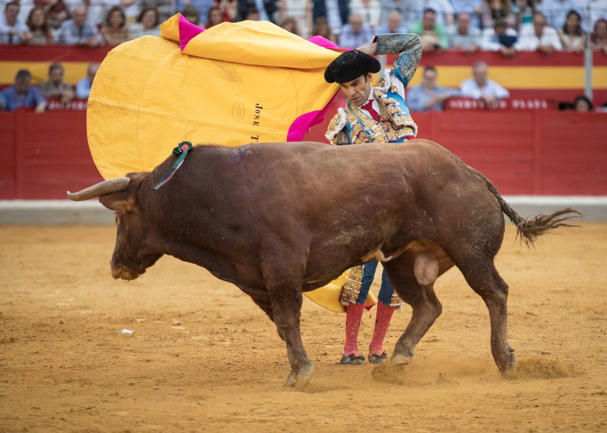 El diestro levanta a la grada con seis orejas y un rabo, confirmando que volvía a la ciudad nazarí con lo mejor de su tauromaquia