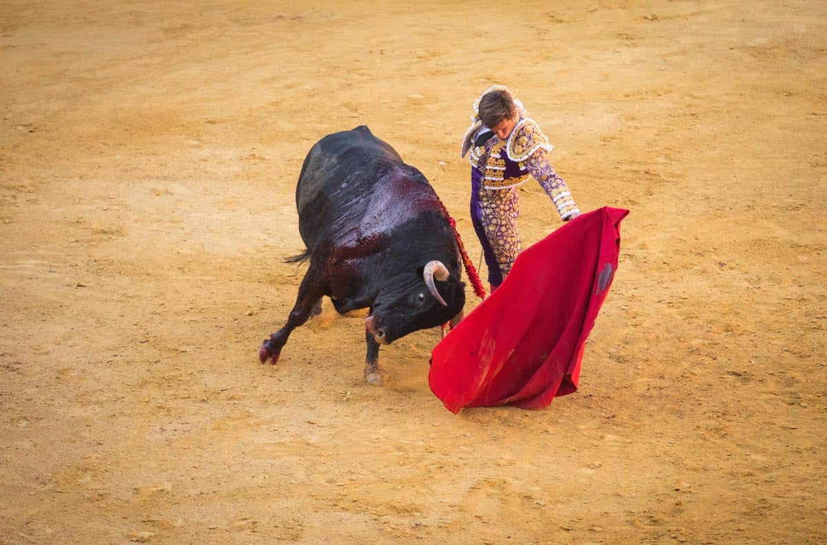 Portentosa actuación del granadino 'El Fandi0', a hombros con Julián López 'El Juli' en tarde de claroscuros de 'Morante de la Puebla'