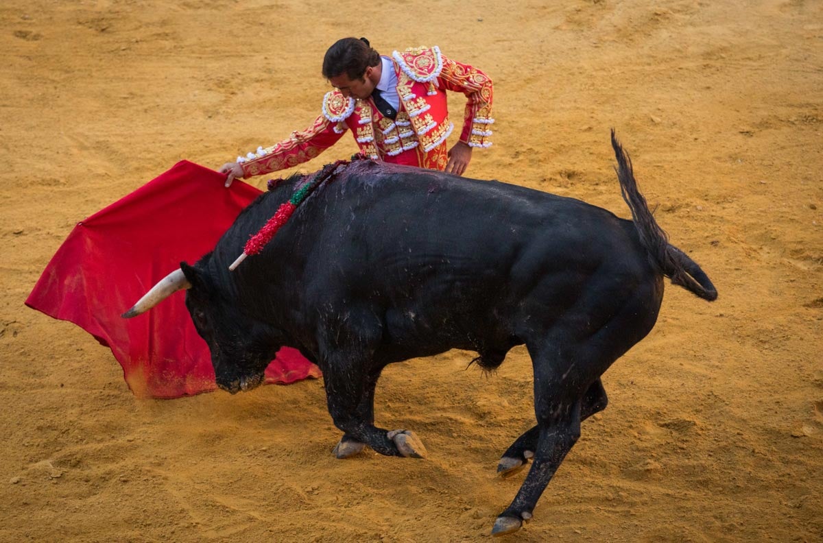 Portentosa actuación del granadino 'El Fandi0', a hombros con Julián López 'El Juli' en tarde de claroscuros de 'Morante de la Puebla'