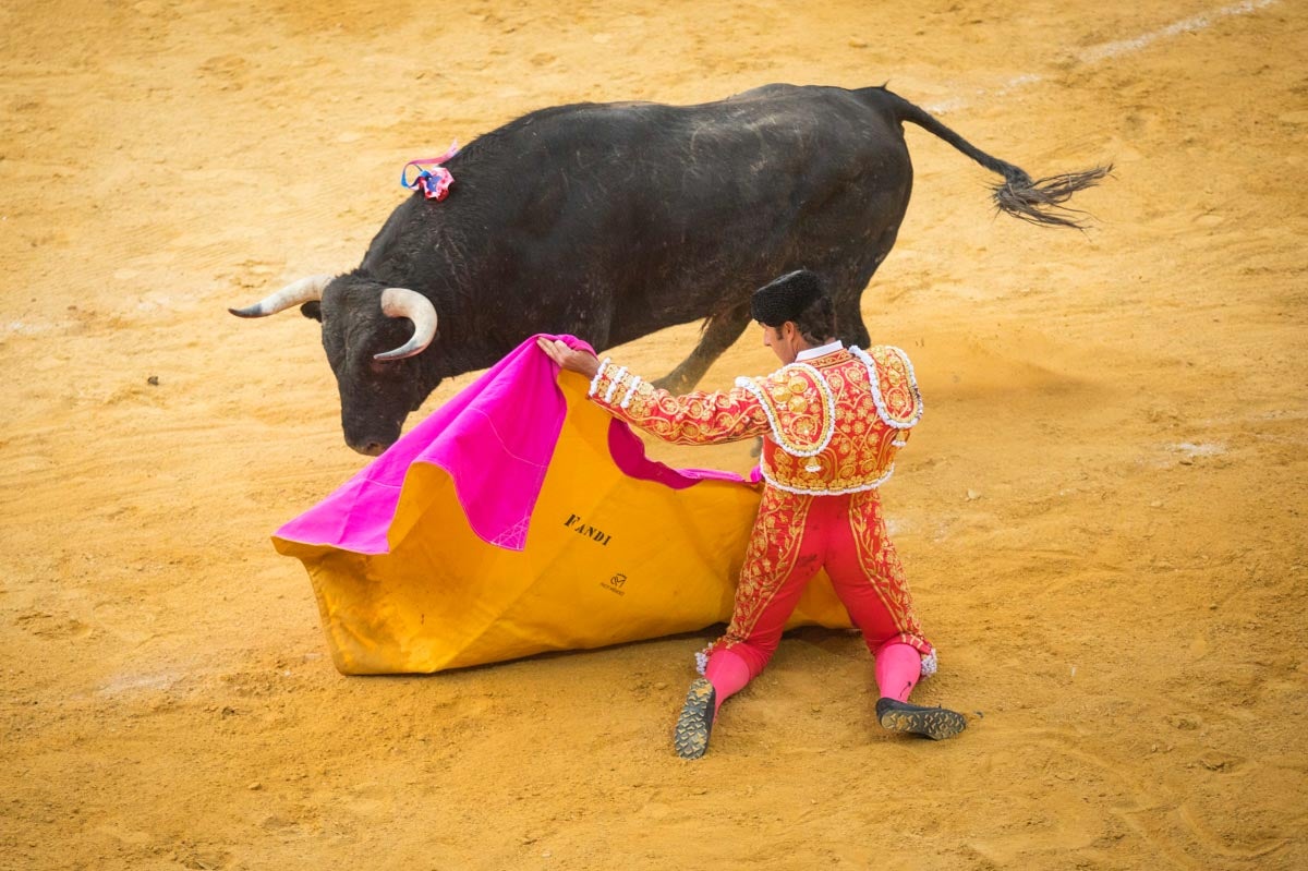 Portentosa actuación del granadino 'El Fandi0', a hombros con Julián López 'El Juli' en tarde de claroscuros de 'Morante de la Puebla'