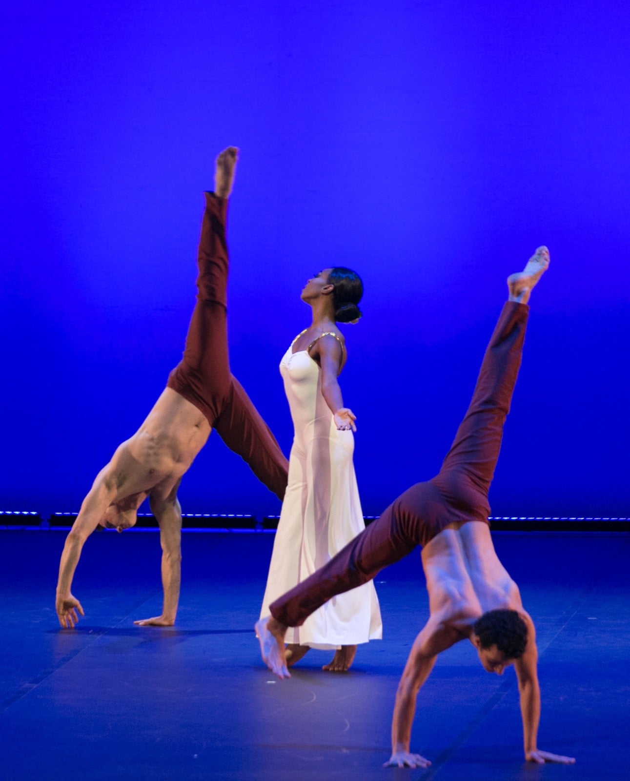 La famosa compañía de danza recordó anoche a la artista de Pensilvania con cuatro de sus más brillantes coreografías