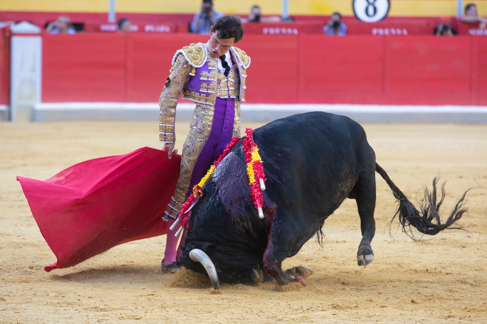 Borja Collado y Miguel Aguilar ponen broche triunfal a la feria del Corpus. El bastetano Aquilino Girón, que cortó una oreja y acreditó sobrado valor, acabó en la enfermería con una lesión en la rodilla