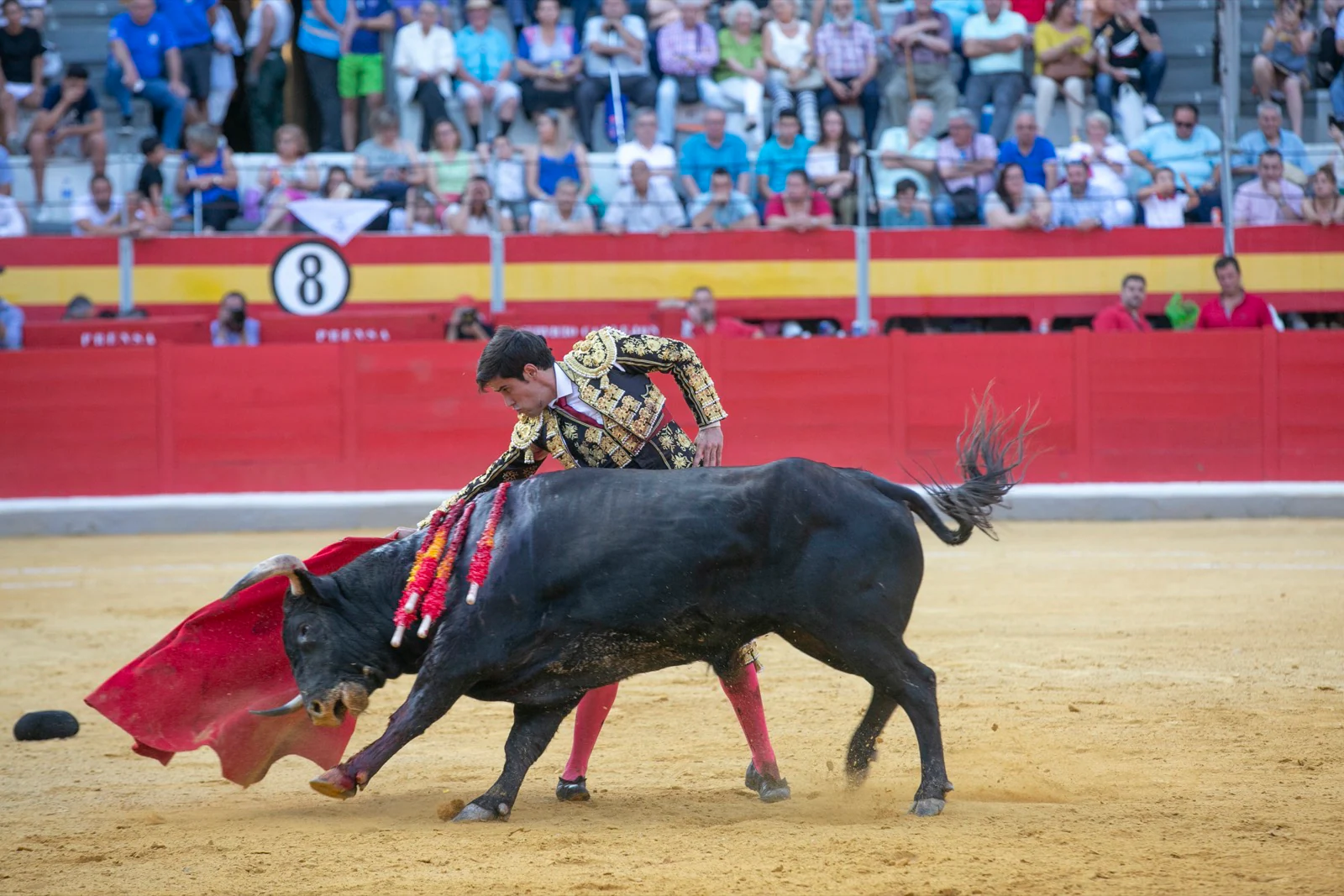 Borja Collado y Miguel Aguilar ponen broche triunfal a la feria del Corpus. El bastetano Aquilino Girón, que cortó una oreja y acreditó sobrado valor, acabó en la enfermería con una lesión en la rodilla