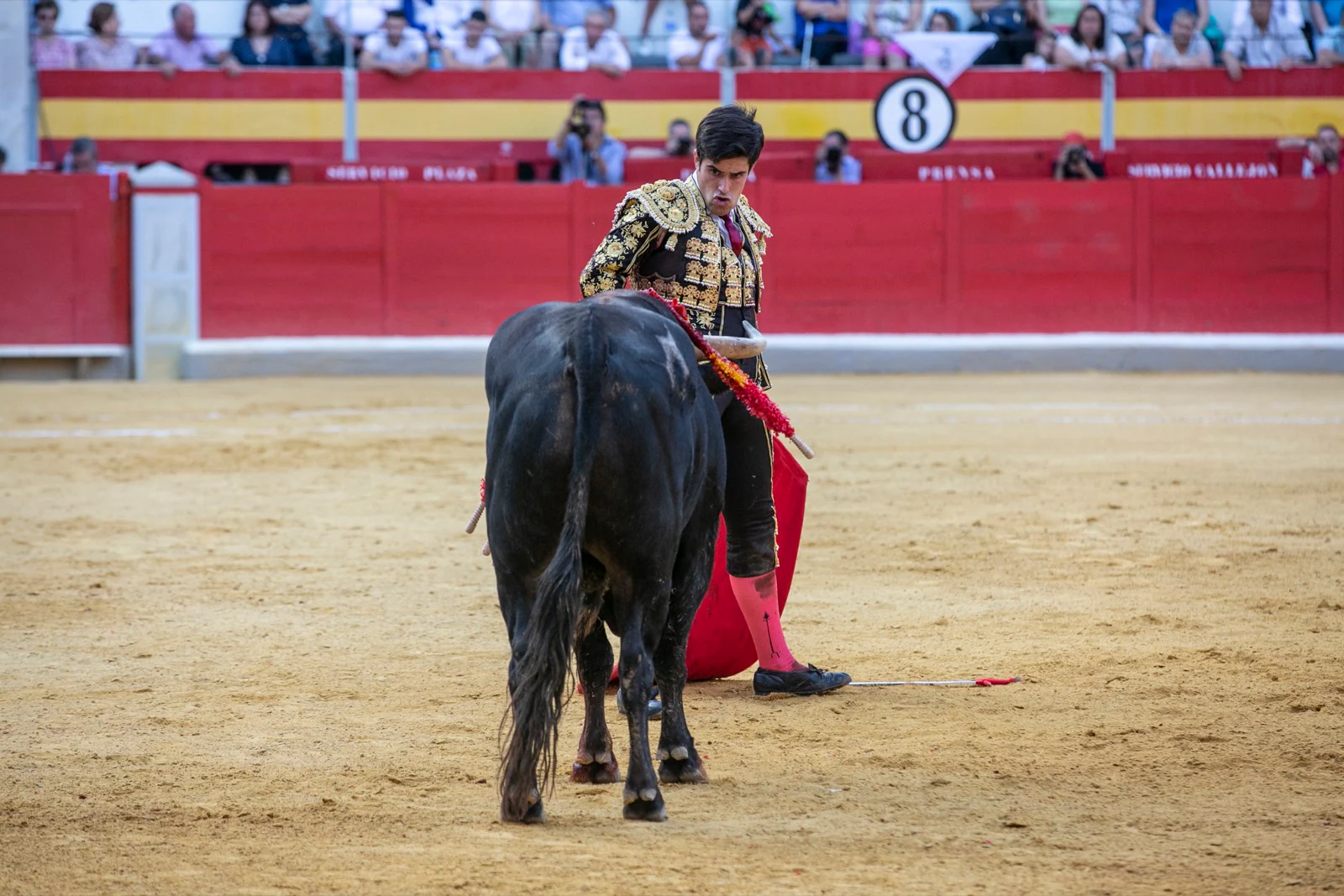 Borja Collado y Miguel Aguilar ponen broche triunfal a la feria del Corpus. El bastetano Aquilino Girón, que cortó una oreja y acreditó sobrado valor, acabó en la enfermería con una lesión en la rodilla