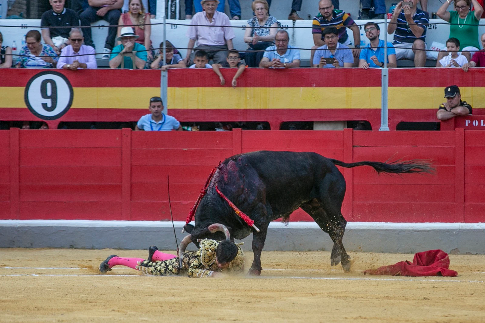 Borja Collado y Miguel Aguilar ponen broche triunfal a la feria del Corpus. El bastetano Aquilino Girón, que cortó una oreja y acreditó sobrado valor, acabó en la enfermería con una lesión en la rodilla