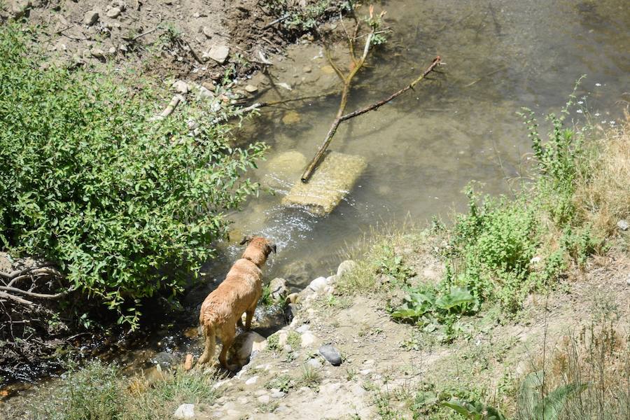 Granadinos y visitantes se las apañan en las calles para no sufrir mucho el enorme calor de estos días