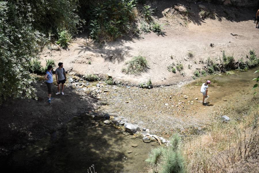 Granadinos y visitantes se las apañan en las calles para no sufrir mucho el enorme calor de estos días