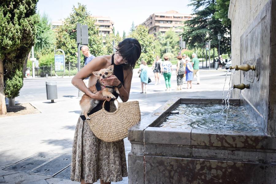 Granadinos y visitantes se las apañan en las calles para no sufrir mucho el enorme calor de estos días