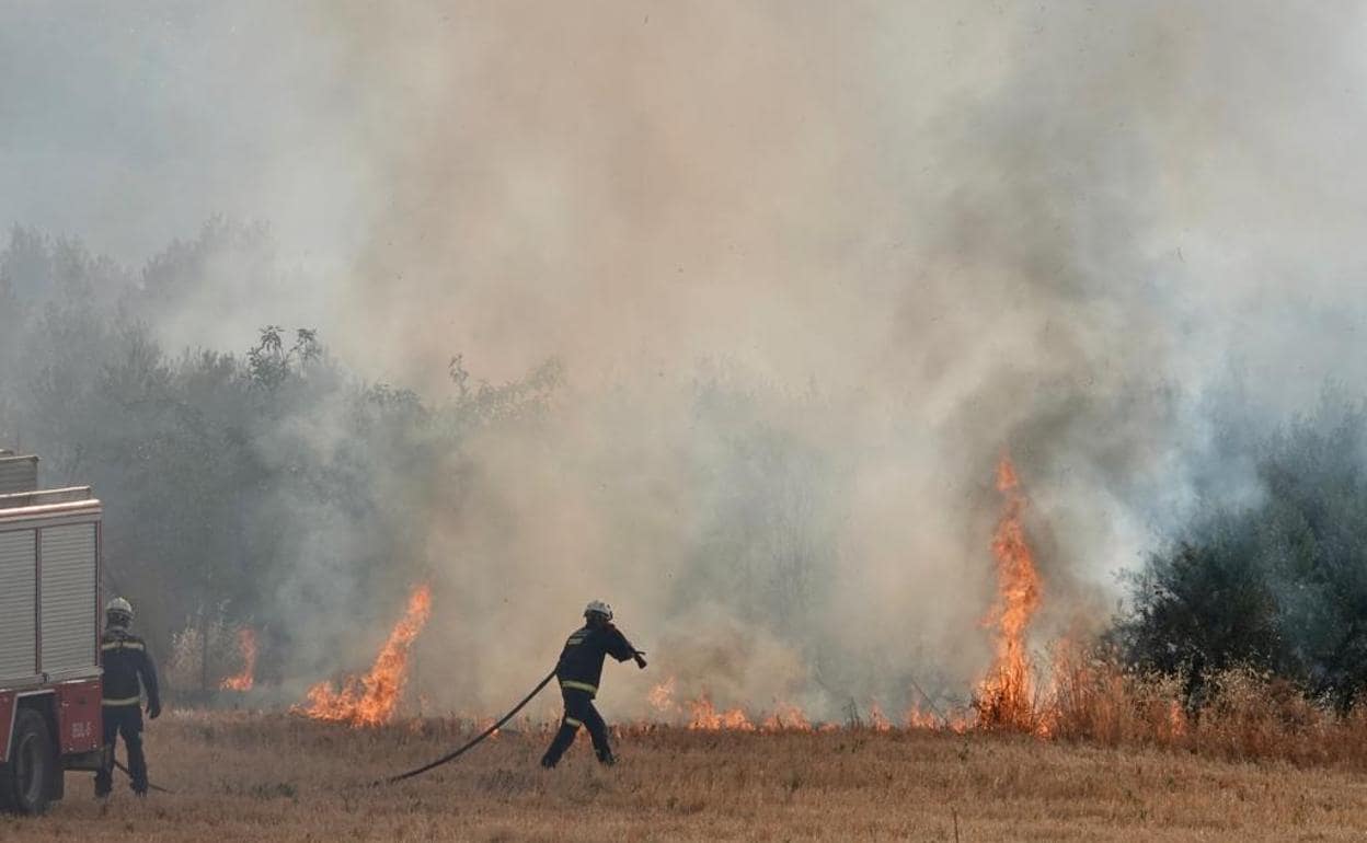 Los bomberos trabajan en la extinción del incendio en Pulianas