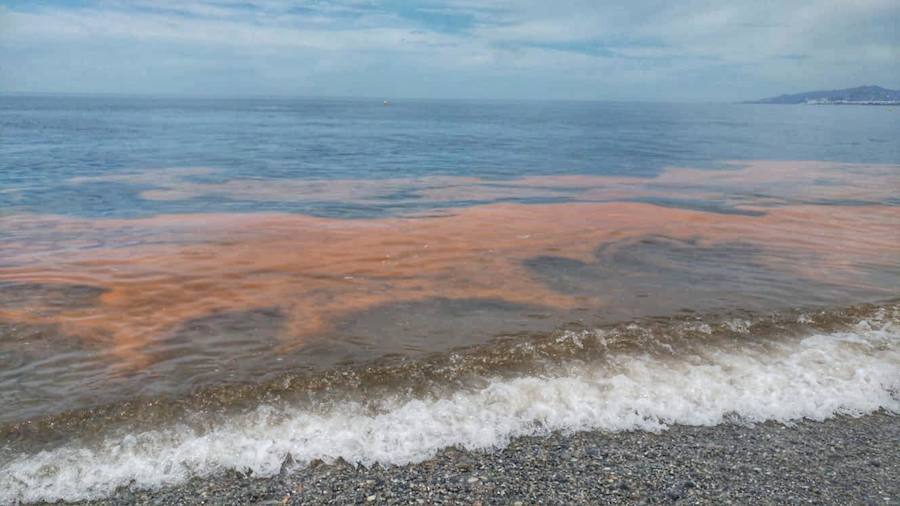 Manchas naranjas, hace unos días en la playa de Cantarriján. 