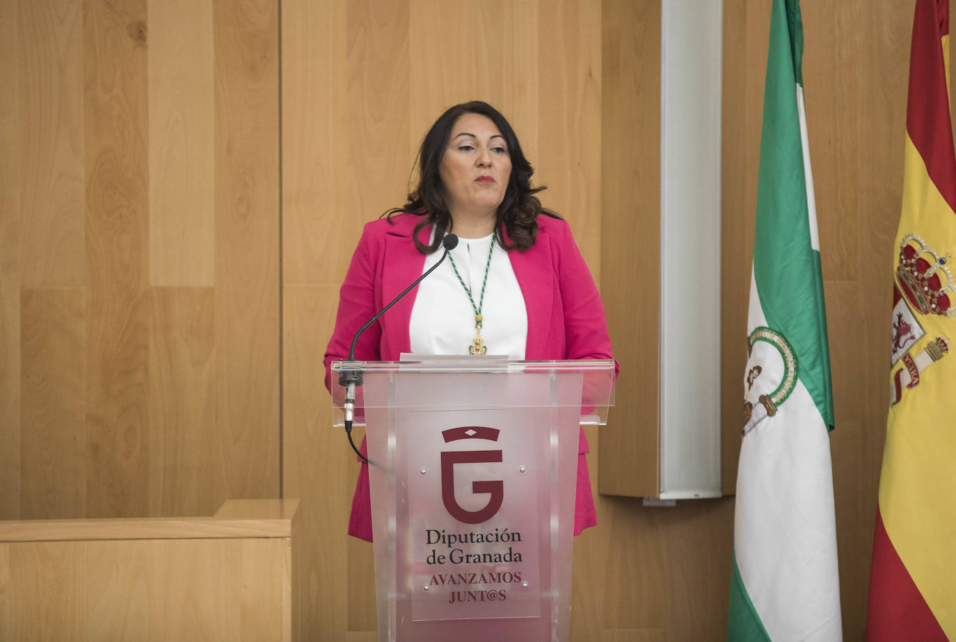 José Entrena ha sido reelegido presidente contando con los votos de PSOE, Adelante, IU y Cs