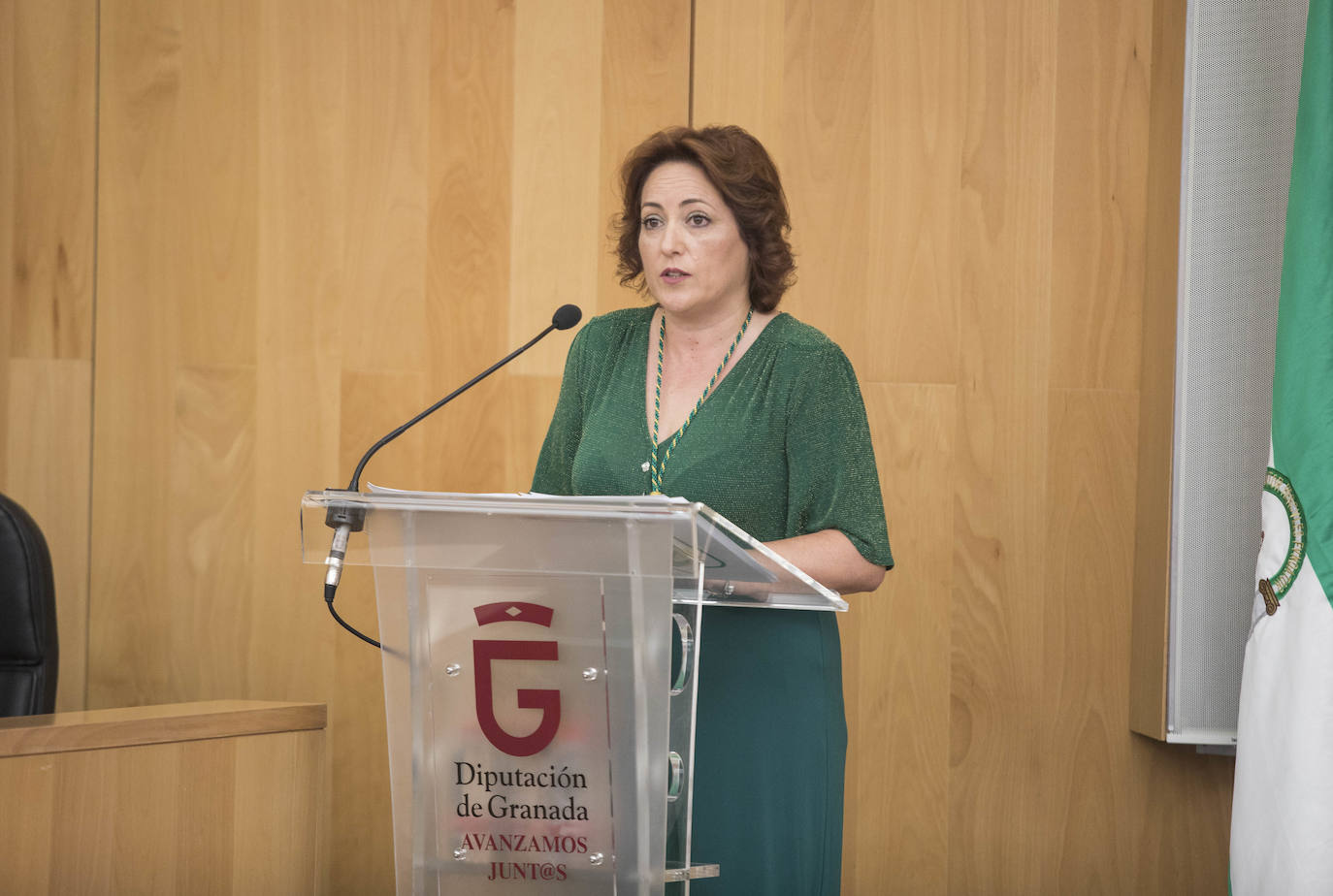 José Entrena ha sido reelegido presidente contando con los votos de PSOE, Adelante, IU y Cs