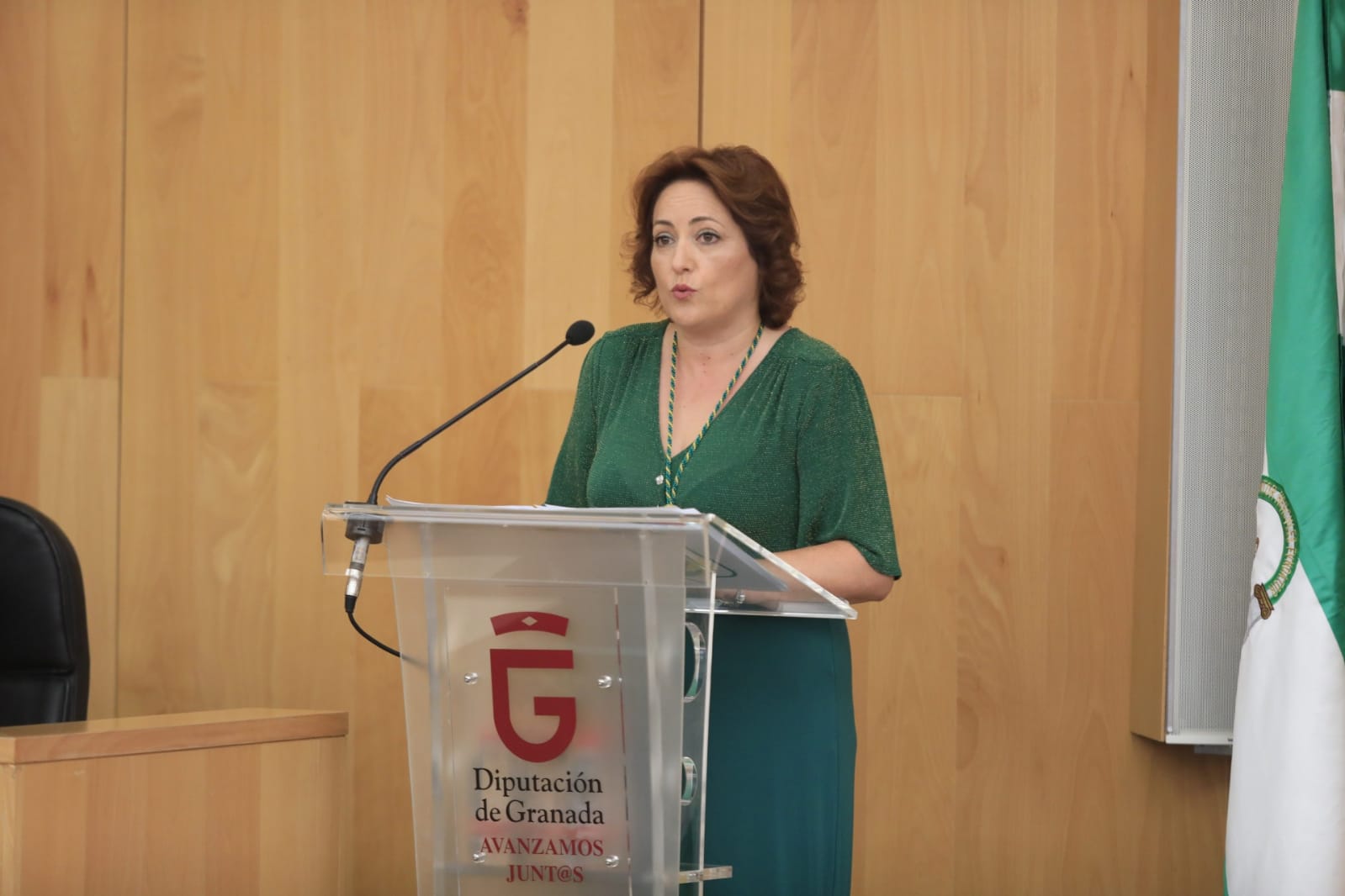 José Entrena ha sido reelegido presidente contando con los votos de PSOE, Adelante, IU y Cs