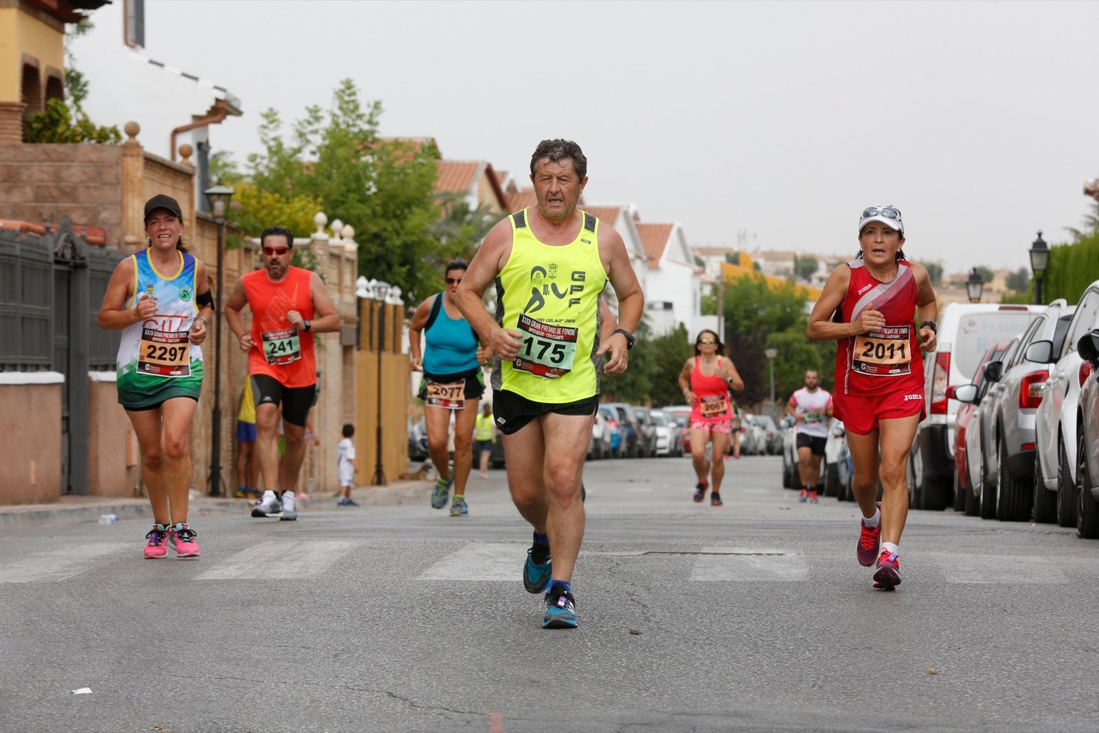 Las mejores imágenes de la carrera Río Dílar en Ogíjares