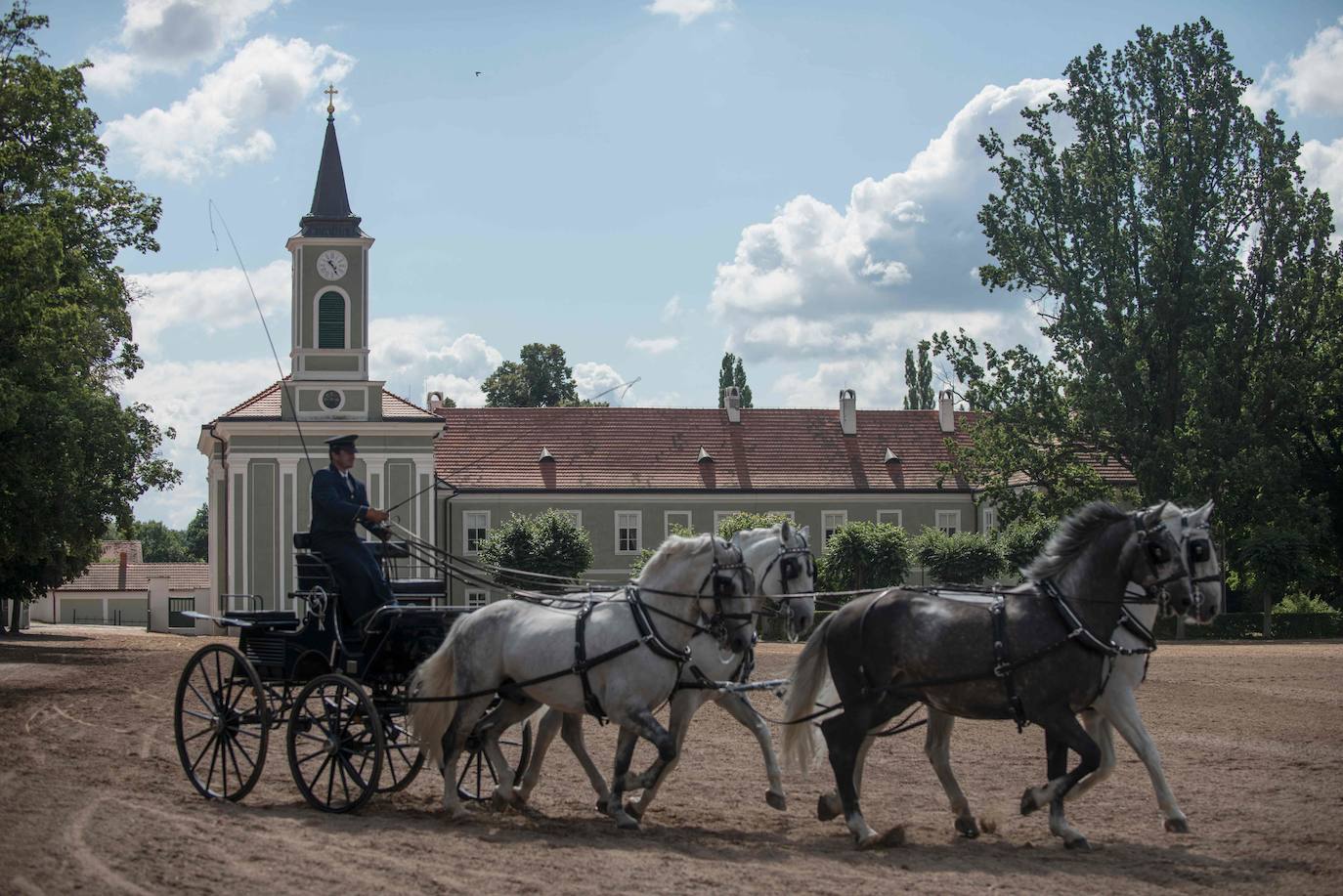 15. Kladruby nad Labem (Repúbilca Checa): El paisaje de crianza y doma de caballos de tiro ceremoniales en Kladruby nad Labem, en Chequia, es uno de los criaderos de caballos más reputados del planeta.