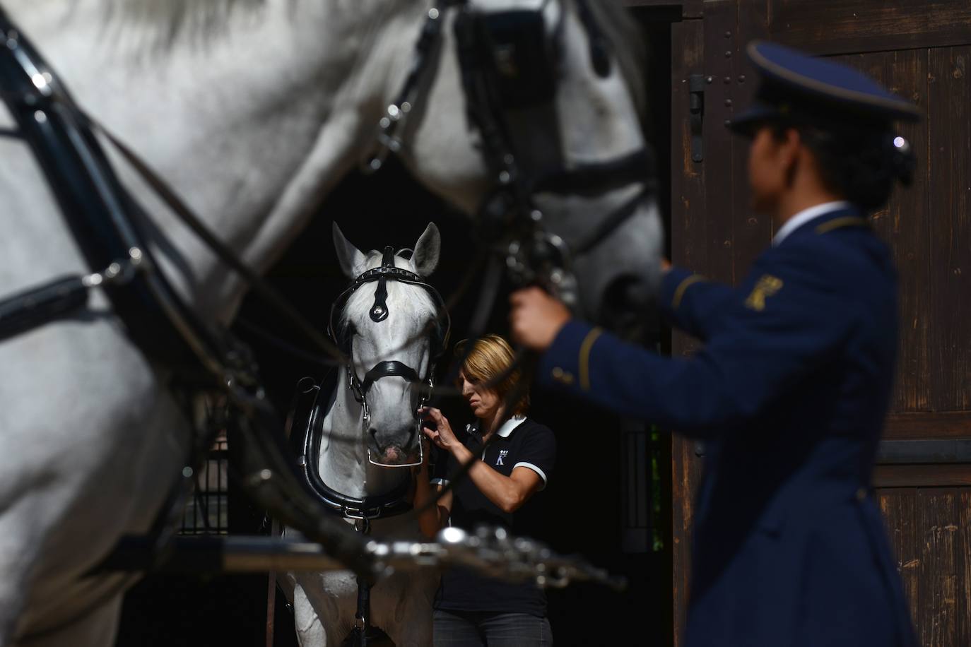 15. Kladruby nad Labem (Repúbilca Checa): El paisaje de crianza y doma de caballos de tiro ceremoniales en Kladruby nad Labem, en Chequia, es uno de los criaderos de caballos más reputados del planeta.