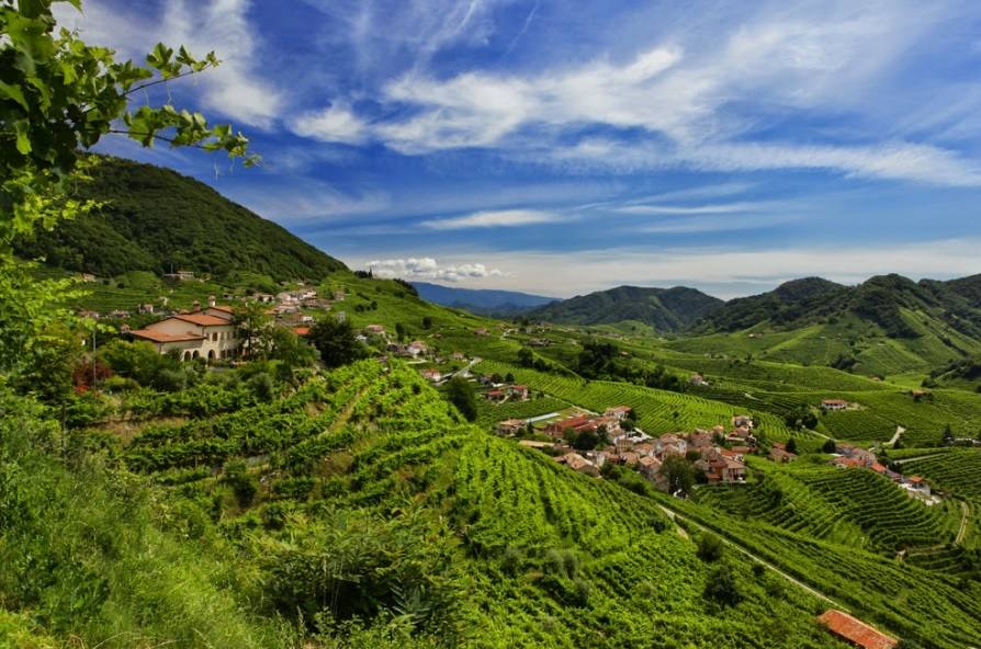 27. Conegliano y Valdobbiadene (Italia): Situado al nordeste de Italia, este sitio abarca una parte del paisaje formado por terrenos de viñedos en los que se produce el vino prosecco. Ese paisaje vitivinícola se caracteriza por la presencia de bosques, de colinas de vertientes abruptas, de tierras de labranza y de aldeas, así como por la de pequeñas parcelas de vides cultivadas en estrechas terrazas con césped llamadas ciglioni. 