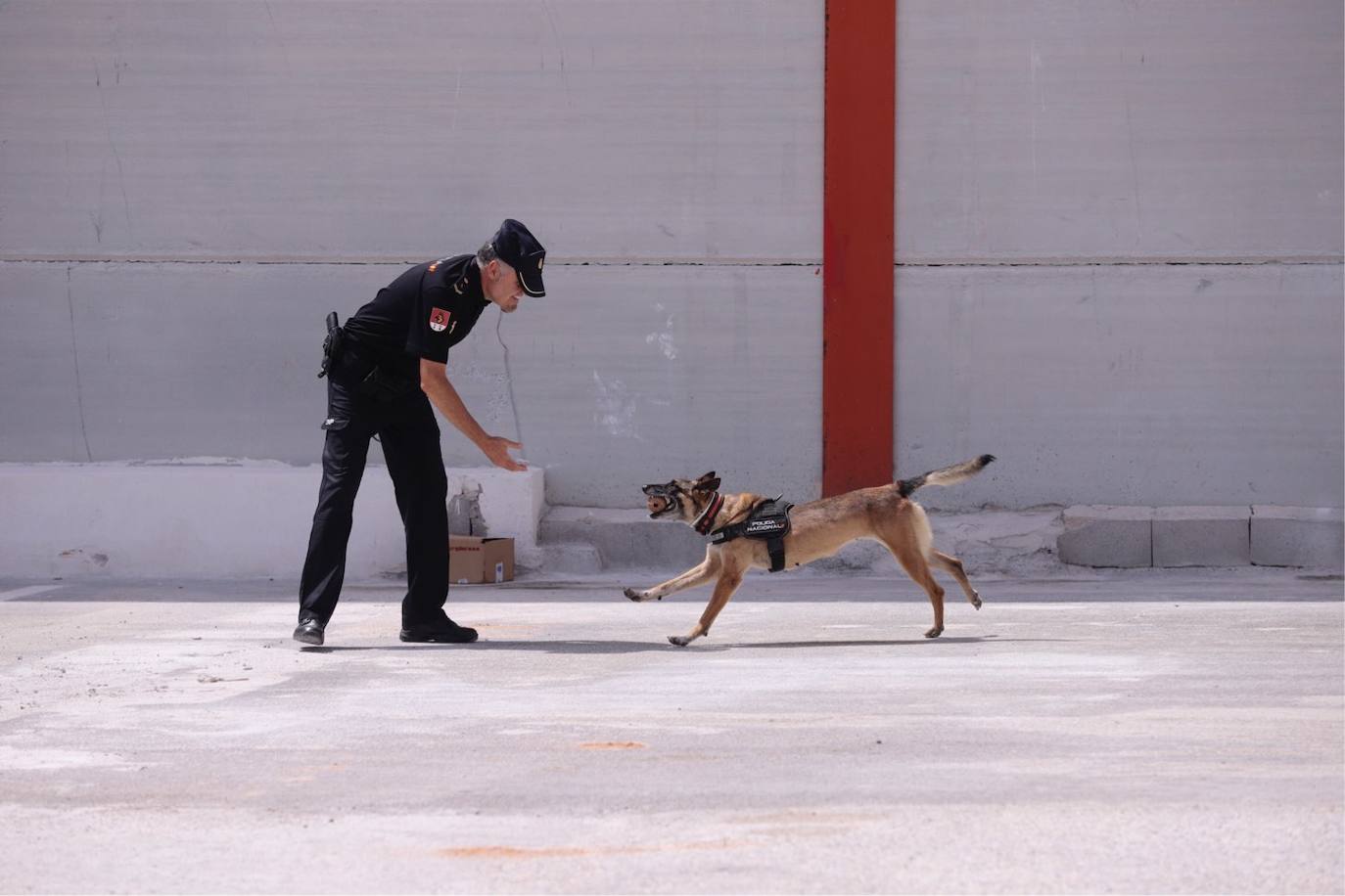 Cientos de personas visitan en Motril el buque Infanta Cristina