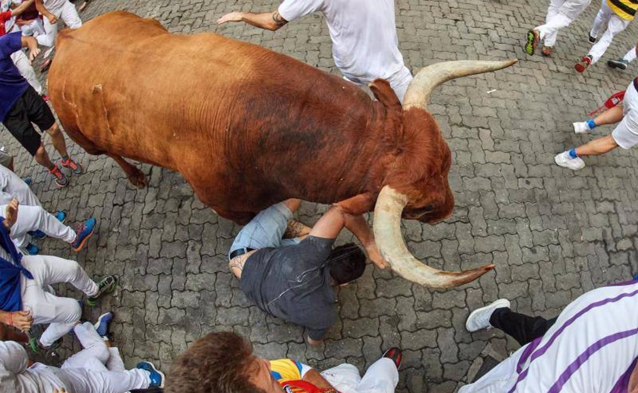 Los toros de la ganadería sevillana de Miura, a su paso por el tramo de Telefónica, durante el octavo y último encierro de los 