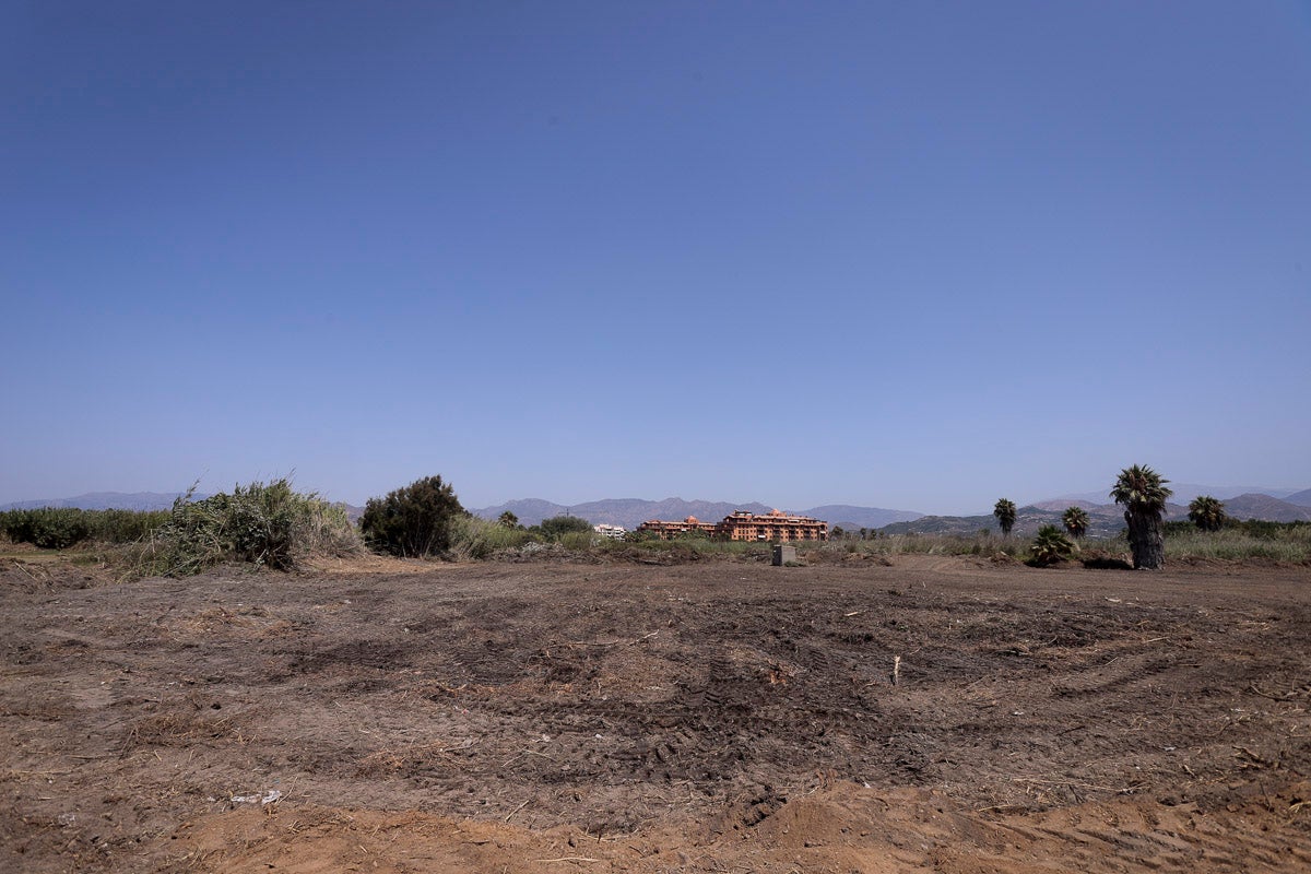 Fotos: Zona de playa Poniente que el Ayuntamiento quiere utilizar como aparcamientos