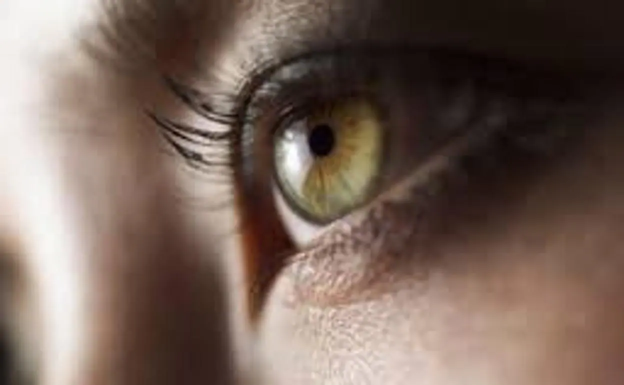 Virus de la culebrilla: qué es y cómo te puede afectar dolorosamente a los ojos