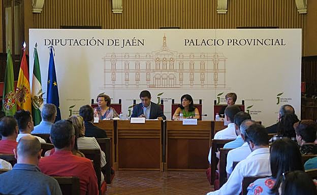 Sesión del Consejo de Alcaldes que se llevó a cabo en la Diputación Provincial. 