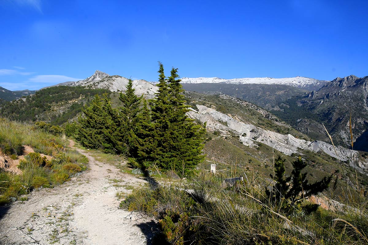 Sierra Nevada emergió de las aguas y convirtió sus laderas en la frontera sur del nuevo continente europeo. Especies marinas vivieron en charcas de marea que se extendían desde el valle de Lecrín hasta las puertas de Granada 