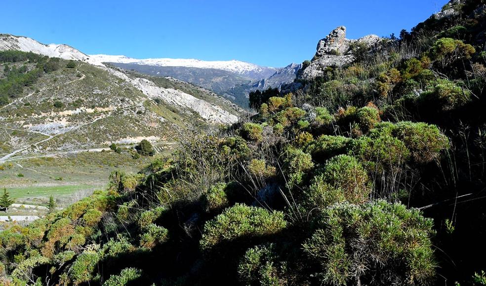 El área del Hervidero y la Espartera, los cerros de margas hasta donde llegó el mar 