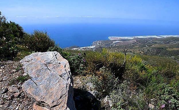 Imagen principal - Calahonda y Carchuna desde el cerro del Águila | La cumbre más alta de la costa granadina | Águila pescadora 