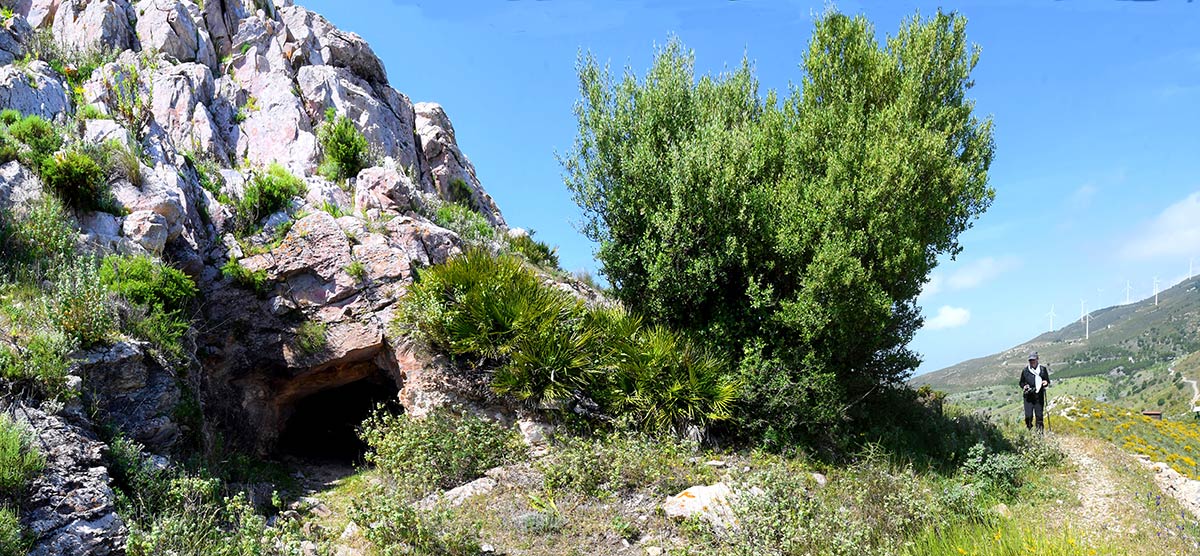 Galería. Túnel de entrada en trincheras de la Guerra Civil