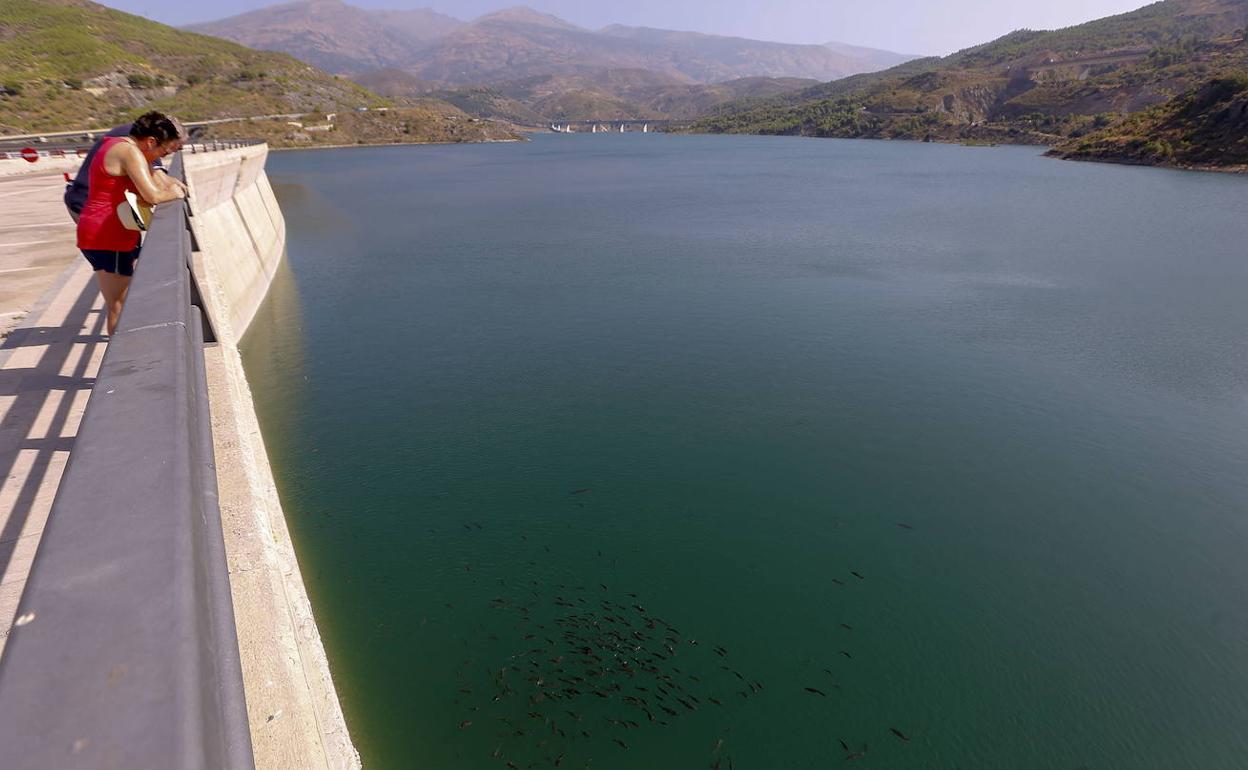 Los agricultores llevan más de quince años esperando las canalizaciones de Rules