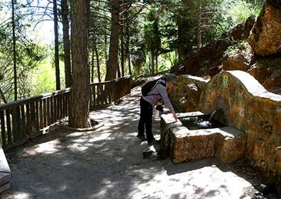 Imagen secundaria 1 - Desde el interior de la caseta de observación | fuente de la Taza en el sendero | Paseo entre grandes pinos 