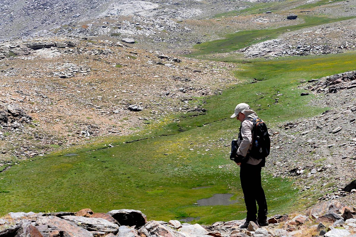 Desde los borreguiles donde nace el río San Juan hacia los tajos de la Mora, el agua camina entre pastizales y pedregales