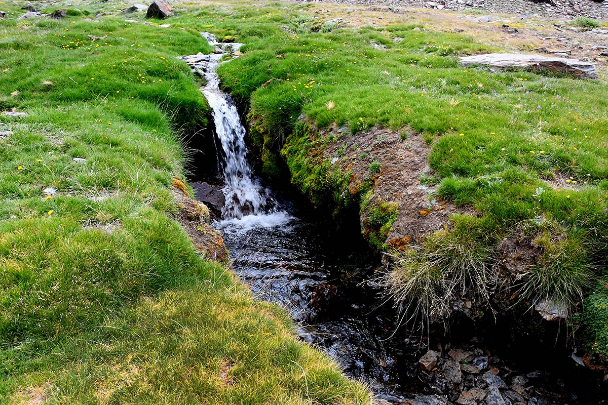 Desde los borreguiles donde nace el río San Juan hacia los tajos de la Mora, el agua camina entre pastizales y pedregales