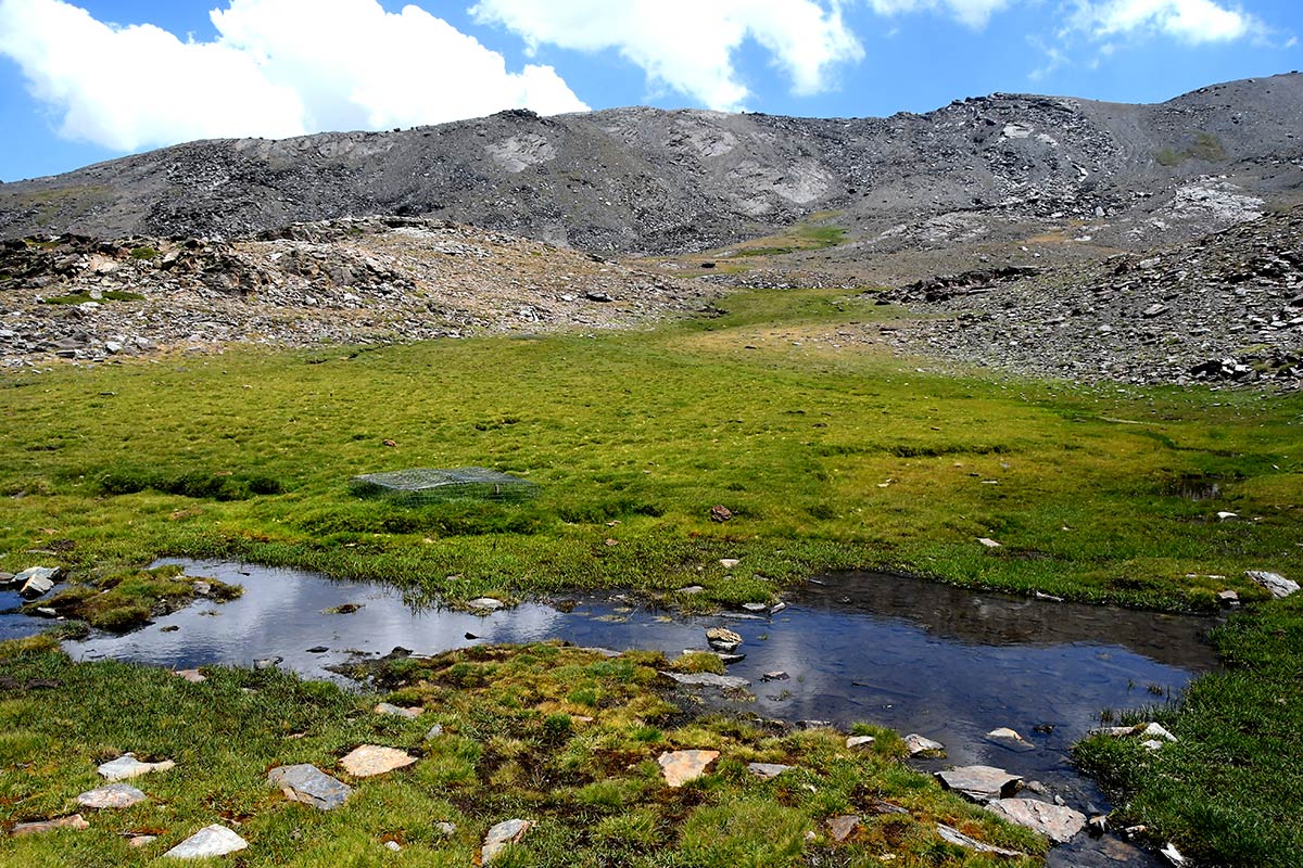 Desde los borreguiles donde nace el río San Juan hacia los tajos de la Mora, el agua camina entre pastizales y pedregales
