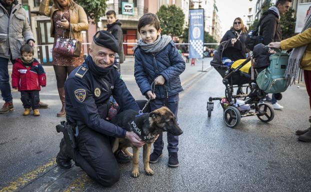 Stan Lee, el perro policía de Granada, junto a su hasta ahora cuidador y guía, en un domingo sin coches en la calle Recogidas.