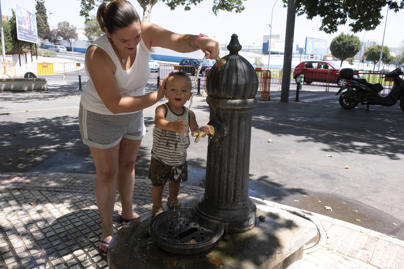 Albolote celebra su tradicional comida de homenaje a los mayores