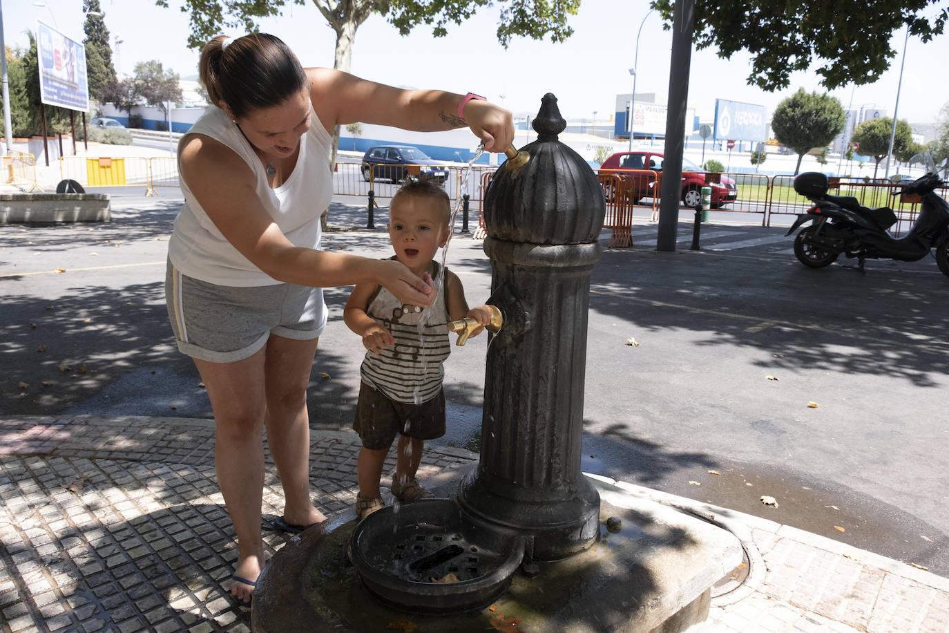 Albolote celebra su tradicional comida de homenaje a los mayores