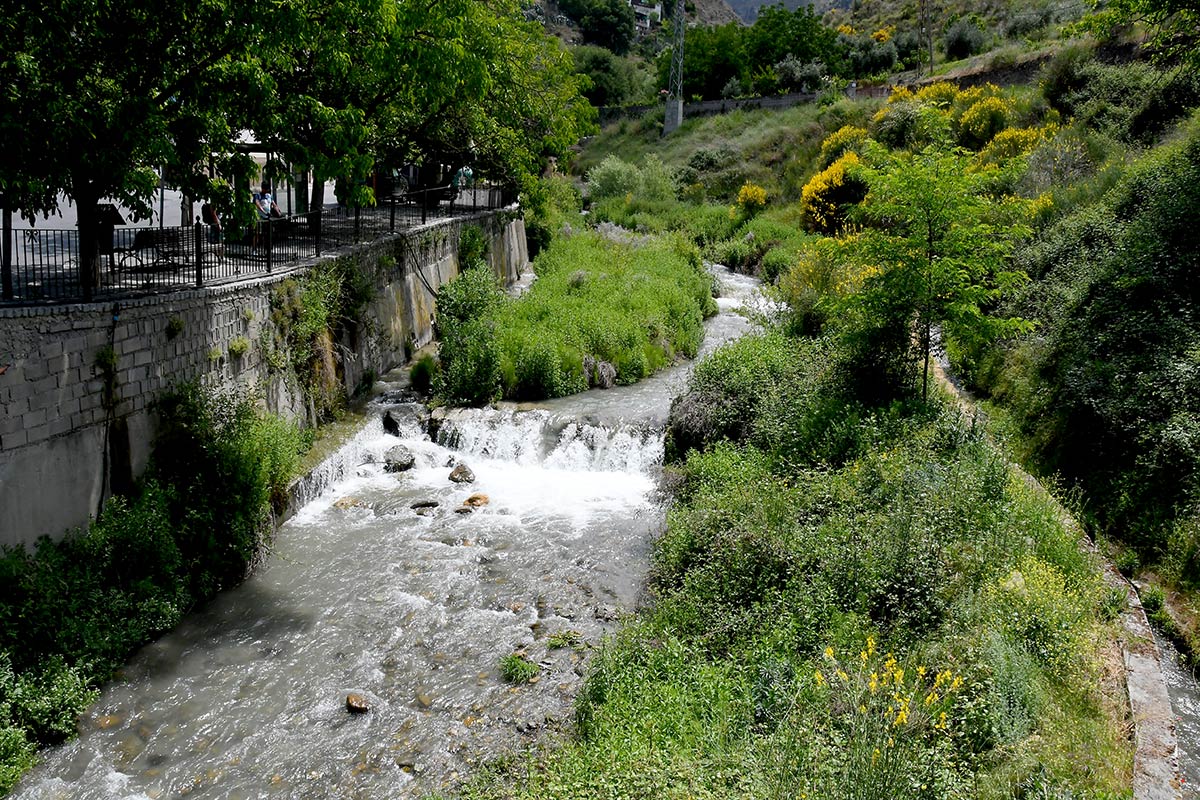 ntre Monachil y los Cahorros un sendero abre sus riberas ocultas bajo álamos y saucedas | Un sendero recorre la ribera del río para acceder a los puentes y cerradas de los tajos dolomíticos más frecuentados de Sierra Nevada