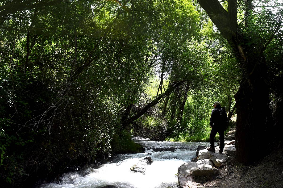 ntre Monachil y los Cahorros un sendero abre sus riberas ocultas bajo álamos y saucedas | Un sendero recorre la ribera del río para acceder a los puentes y cerradas de los tajos dolomíticos más frecuentados de Sierra Nevada