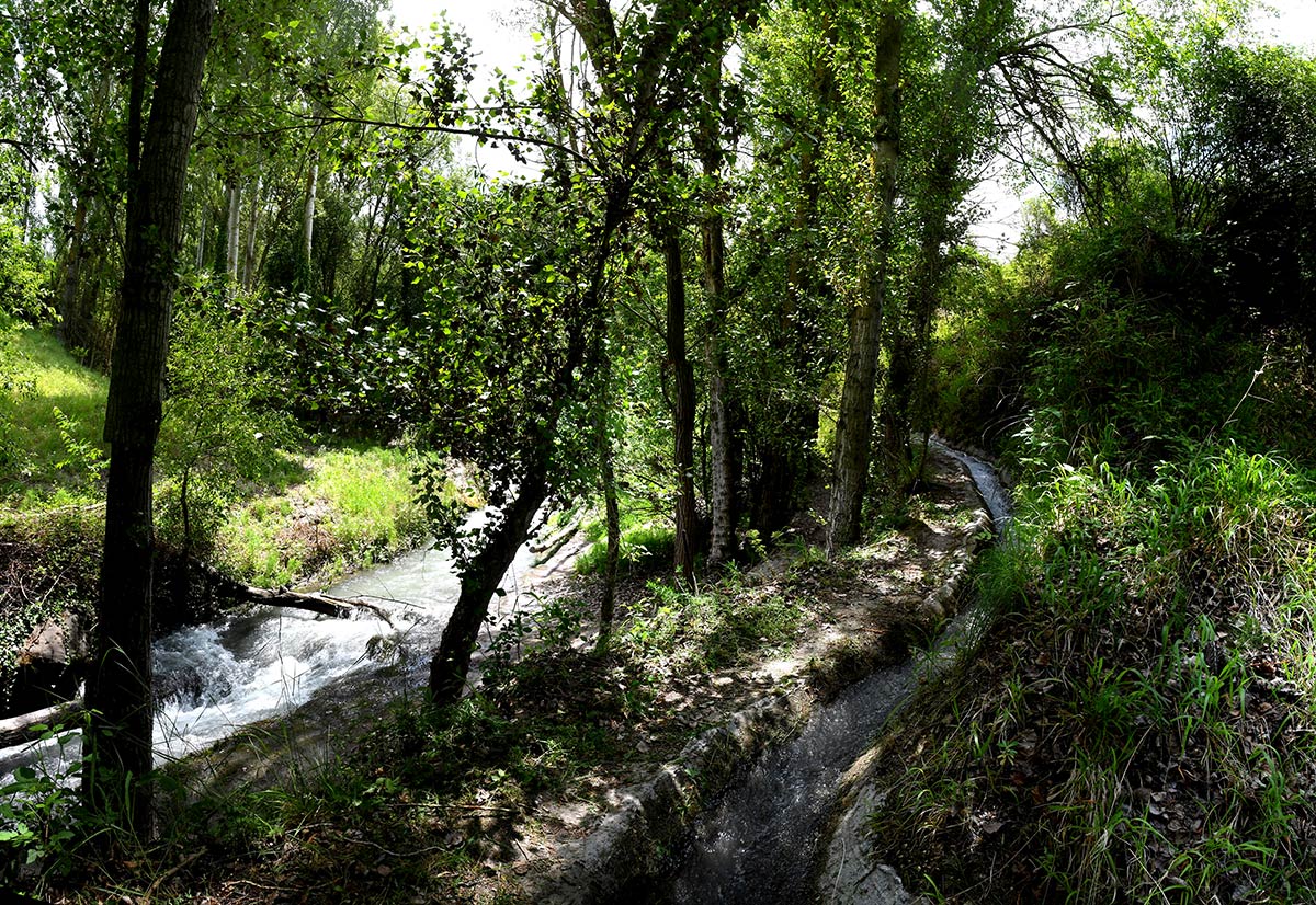 ntre Monachil y los Cahorros un sendero abre sus riberas ocultas bajo álamos y saucedas | Un sendero recorre la ribera del río para acceder a los puentes y cerradas de los tajos dolomíticos más frecuentados de Sierra Nevada