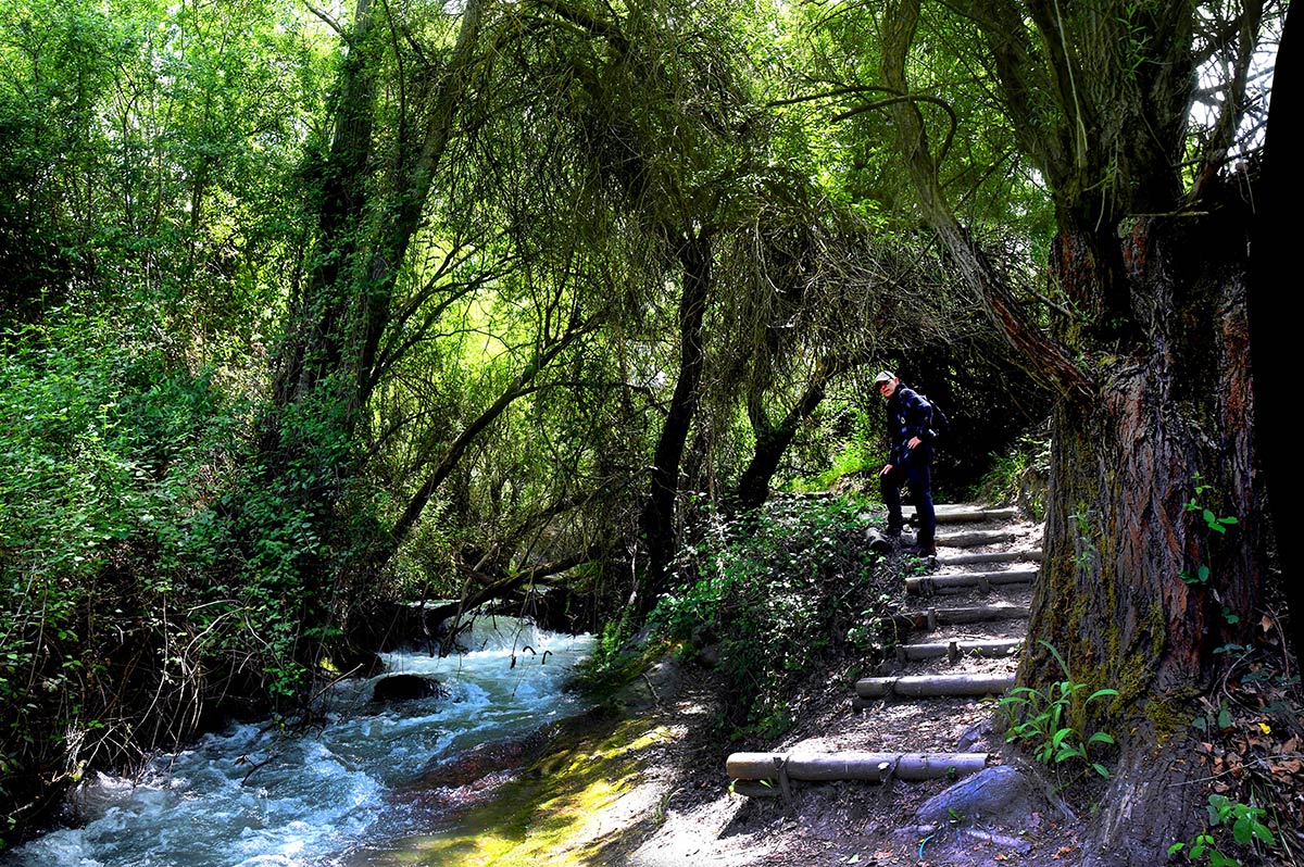 Sendero que recorre la ribera del río Monachil hacia los Cahorros 