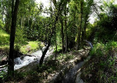 Imagen secundaria 1 - La acequia de los abides y el cauce del río | Cascadas desde los cortados de Monachil 