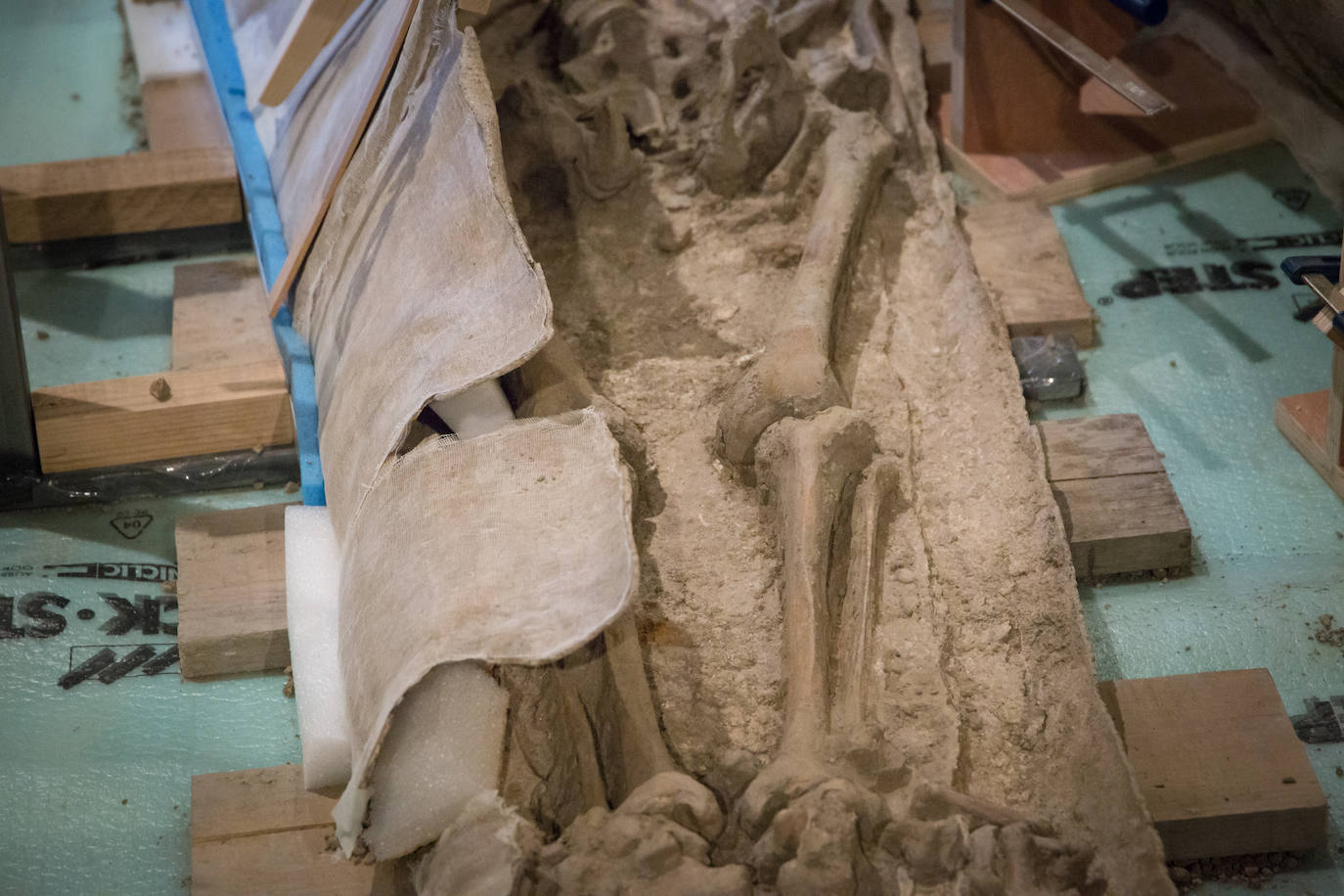 Fotos: Descubrimos el contenido del sarcófago de Granada: el romano que había dentro