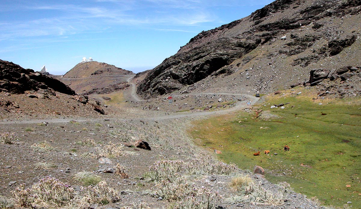 Los lagunillos de Virgen concentran el agua del deshielo de Sierra Nevada para dar vida al río y los pastos altos de Dílar, las turberas de altas cumbres generan paisajes únicos donde se concentra la biodiversidad nevadense