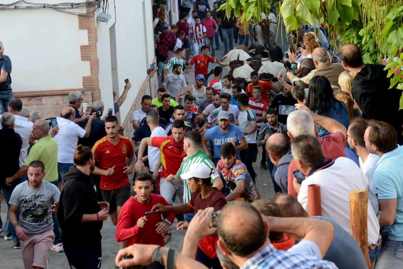 Los encierros más antiguos de España han puesto punto final a su edición 2019 con motivo de las fiestas patronales de este localidad granadina de 700 habitantes